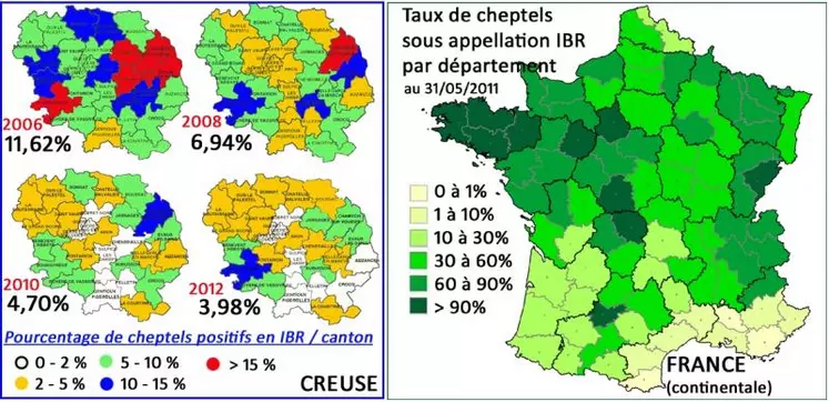 En France, au 31 mai 2011, 60% des cheptels bénéficiaient d’une appellation IBR, 8,7% des cheptels présentaient au moins un animal séropositif. Une grande variabilité est observée suivant les départements.
En Creuse, pour 2011/2012, 2976 cheptels (93,78%) ont été dépistés négatifs et 2908 cheptels (95,23%) sont sous appellation, soit une progression de 1% par rapport à la campagne précédente. Parallèlement, le pourcentage de cheptels positifs recule, passant en dessous ...