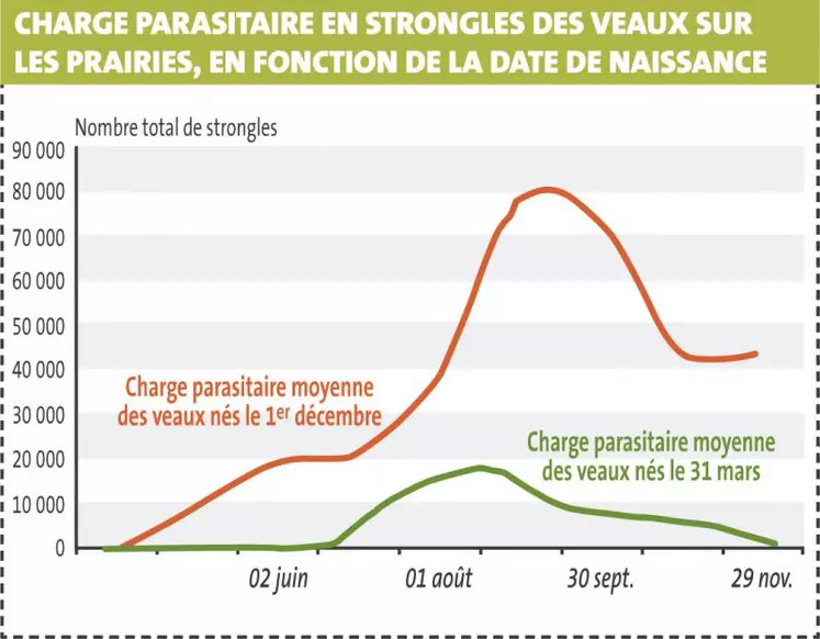 La date de naissance influe fondamentalement la dynamique d’infestation au niveau des prairies. Cela implique donc une approche spécifique de la gestion des strongles en fonction des périodes de vêlage.