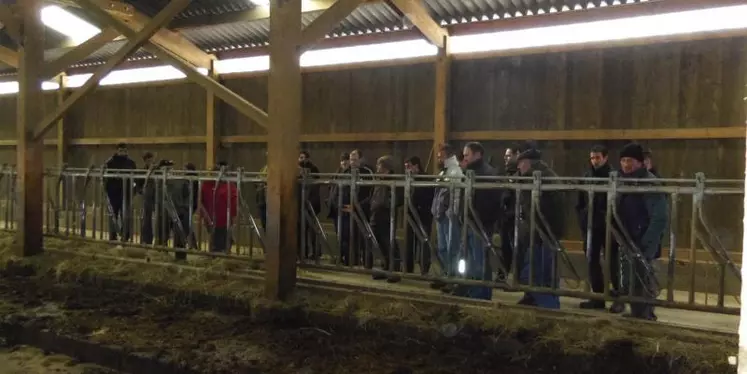 Gaec de Charousseix : Visite de la stabulation.