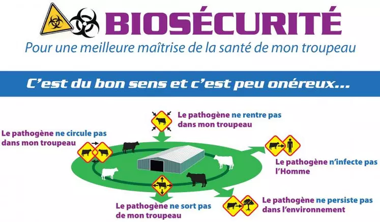 La biosécurité peut se décomposer en 5 axes de points de maîtrise. Les 3D (désinfection, dératisation, désinsectisation) en sont des éléments constitutifs importants.