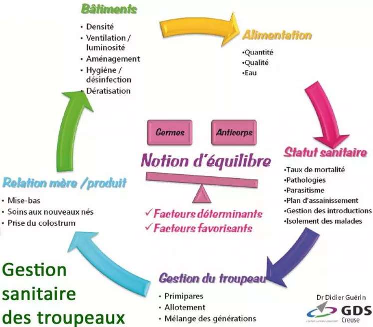 L’état sanitaire repose sur l’équilibre entre les capacités de défense (anticorps) et la pression microbienne (germes). Un problème sanitaire est la conséquence d’un déséquilibre avec comme facteurs déterminants, les virus, bactéries ou parasites et favorisants, les facteurs de risque classés en 5 domaines. L’approche collective du troupeau, prônée par GDS Creuse avec le concept « Le sanitaire… j’adhère ! », en relation avec les vétérinaires depuis plus ...