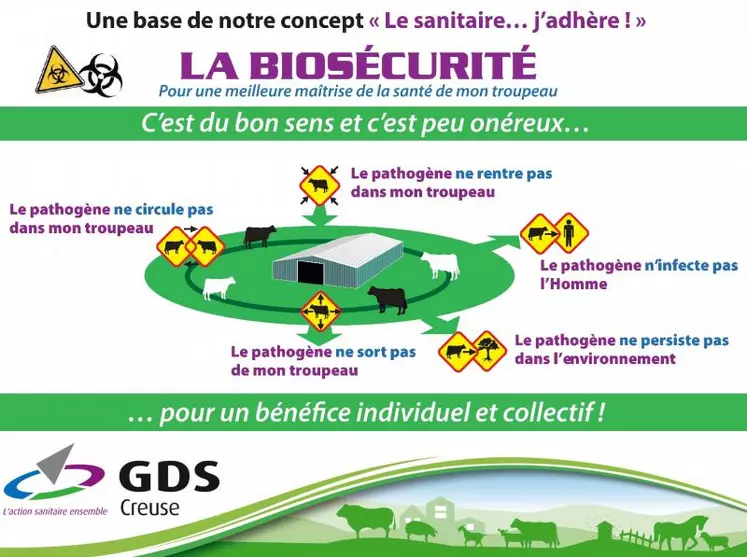 La biosécurité peut se décomposer en 5 axes de points de maîtrise. Les 3D (Désinfection, Dératisation, Désinsectisation) en sont des éléments constitutifs importants.