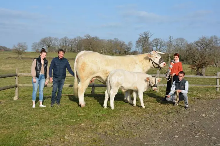 Le Gaec Élevage Verger monte au Salon avec Précieuse, une vache suitée de 3 ans.