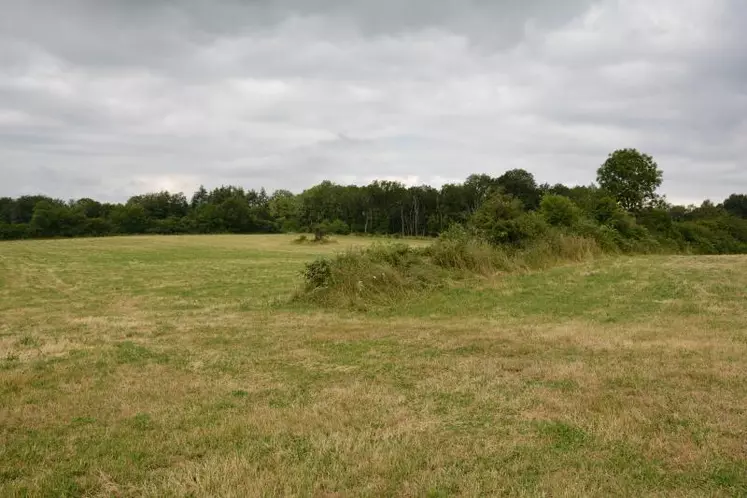 Site de l'implantation du projet de poulailler, choisi pour l'absence d'habitation à proximité.