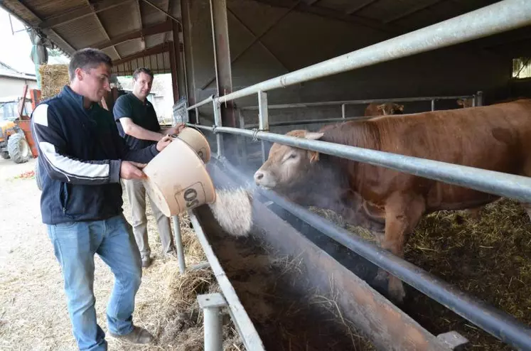 Jean-Yves Debrosse n'a pas hésité à intégrer un remplaçant, Vincent Ducoudray, dans sa ferme.