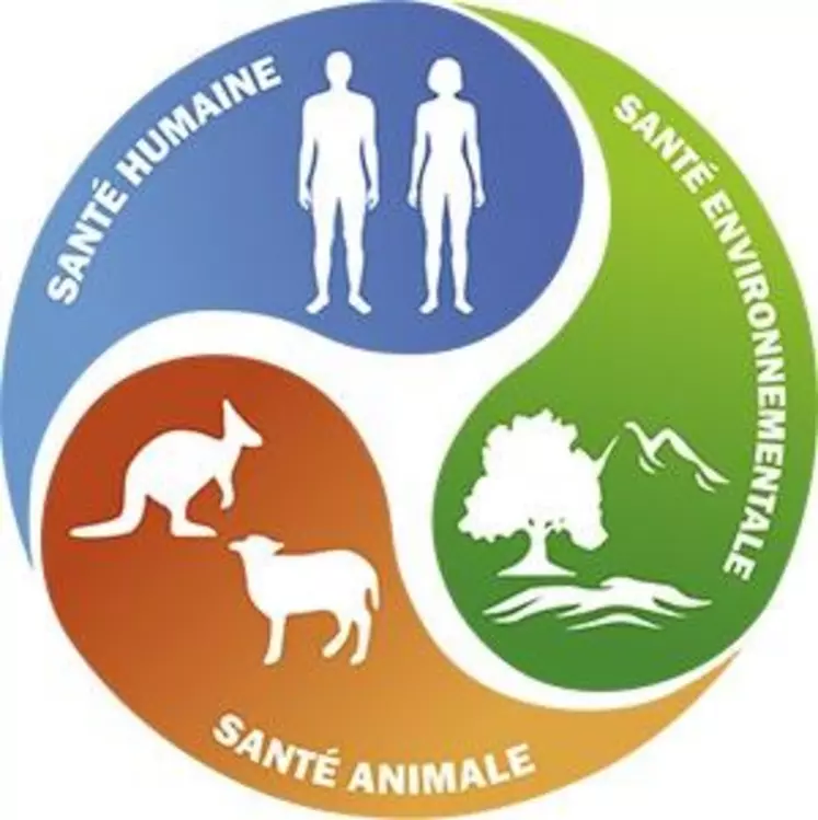 L’initiative One Health (« une seule santé ») est un mouvement créé au début des années 2000 qui promeut une approche unifiée de la santé publique, animale et environnementale aux échelles locales, nationales et planétaire. Elle vise notamment à mieux affronter les maladies émergentes à risque pandémique.