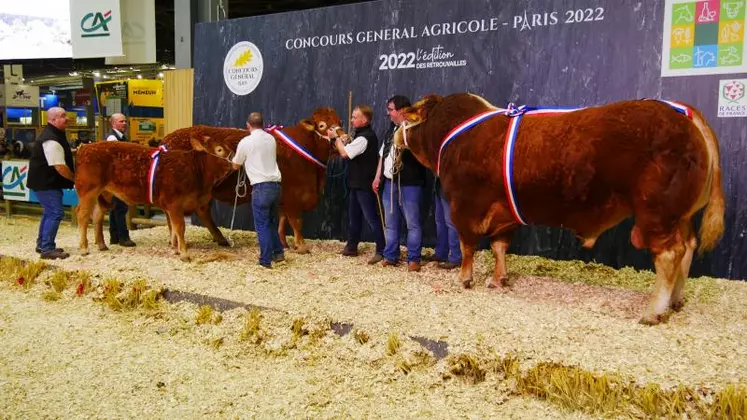 Les champions limousins.