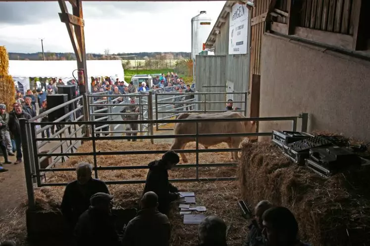 Orio, issu du Lycée agricole de Challuy, a obtenu la meilleure enchère à 4 350 euros.