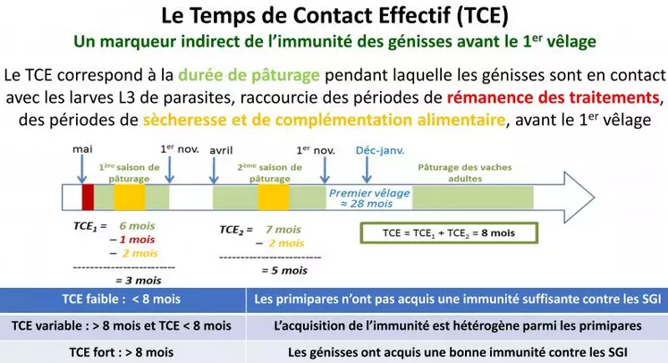 L’immunité est considérée comme pleinement acquise après 8 mois de temps de contact effectif (TCE). Elle est à calculer pour chaque lot de génisses.