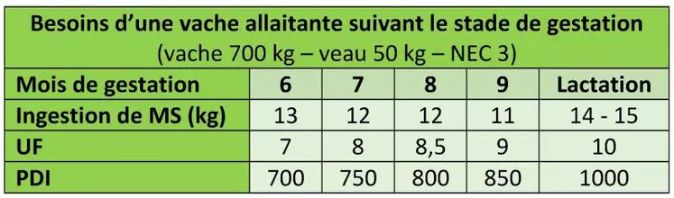 Les besoins sont maximums en fin de gestation et début de lactation, mais la capacité d’ingestion est réduite avant vêlage. C’est la période où il faudra distribuer les meilleurs fourrages, en veillant à la qualité de l’eau.