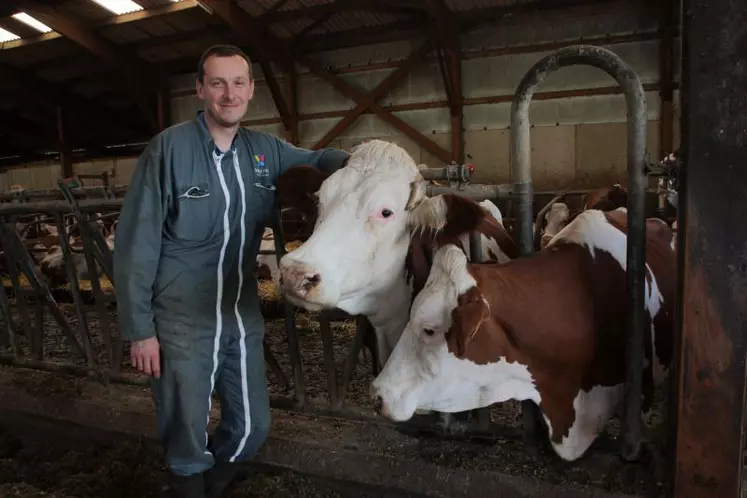 Frédéric Pélisse élève 60 montbéliardes à Saint Jean de Nay.