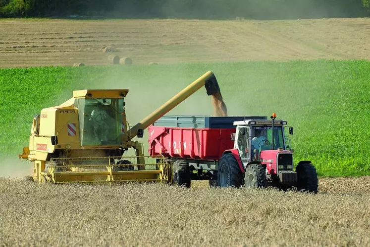 La planète aurait presque 3 mois de stocks en blé devant elle en fin de campagne prochaine, contre un peu plus de 2 mois à l'heure actuelle.