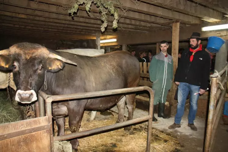 La saison Fin Gras du Mézenc a officiellement démarré le 27 janvier à Chaudeyrolles.