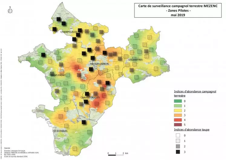 Les observations de mai 2019 confirment que les populations de campagnols sont en phase de croissance, comme noté en 2018, avec localement des parcelles impactées de manière très importantes.