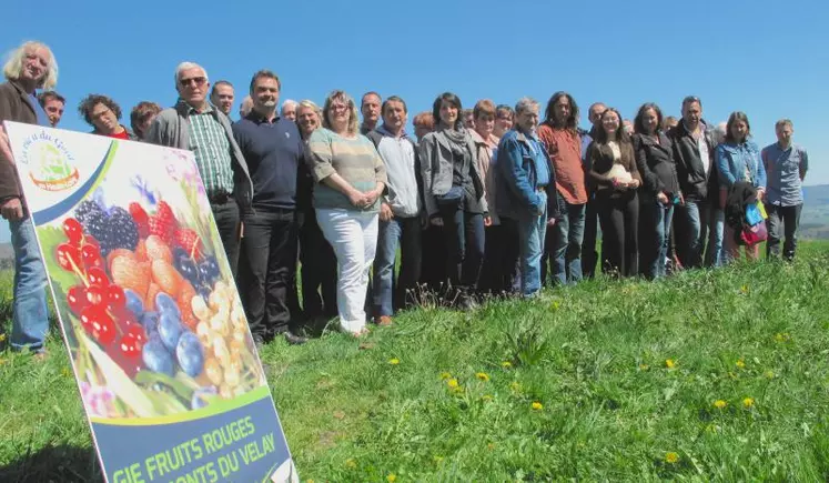 Le GIE des producteurs de fruits rouges des Monts du Velay travaille avec 42 agriculteurs adhérents, situés autour des monts du Meygal, du Mezenc et du Devès, dans les zones montagneuses de la Haute-Loire et de l'Ardèche limitrophe.Les fruits sont cultivés en moyenne à 900 mètres d'altitude.