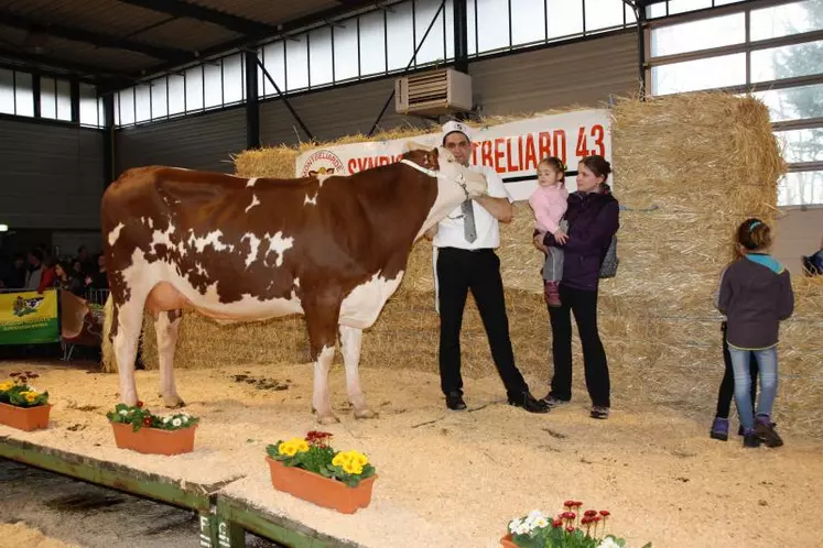 Istamoise Miss Montbéliarde 2016 en Haute-Loire vise la plus haute marche au Sommet.