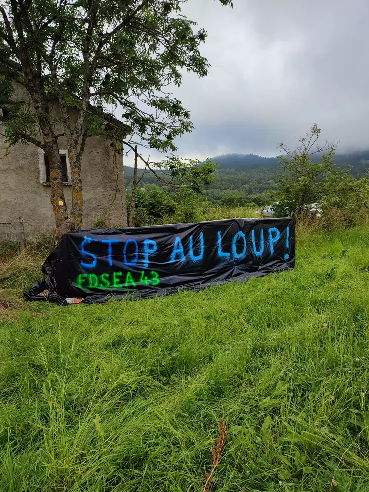 La FDSEA de Haute-Loire affiche son opposition à une cohabitation de l'activité d'élevage et du loup.