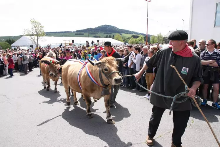 La grande parade du Fin Gras du Mézenc devant la foule.