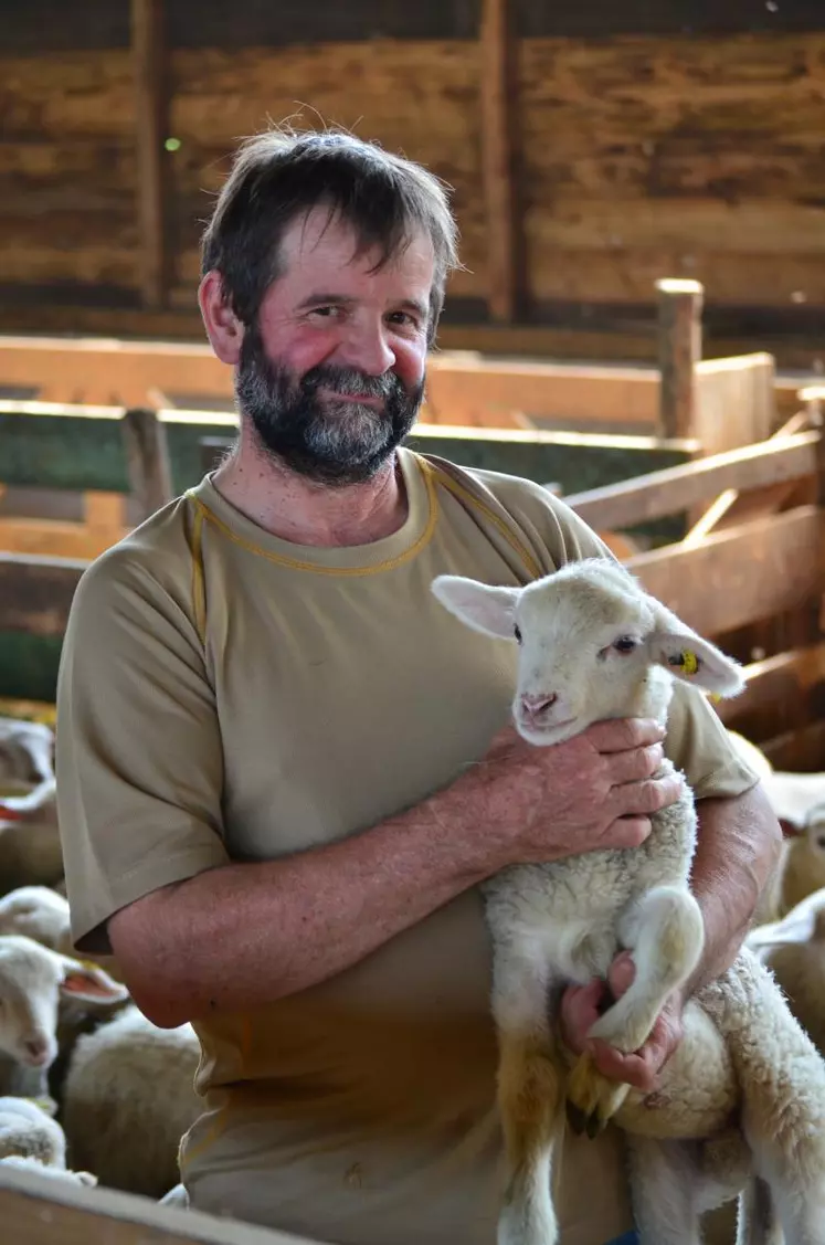 Paul Bony, président de Copagno l’affirme : «Nous devons travailler à réguler les apports d’agneaux sur l’année pour maintenir les prix. Nous n’y parviendrons que collectivement».