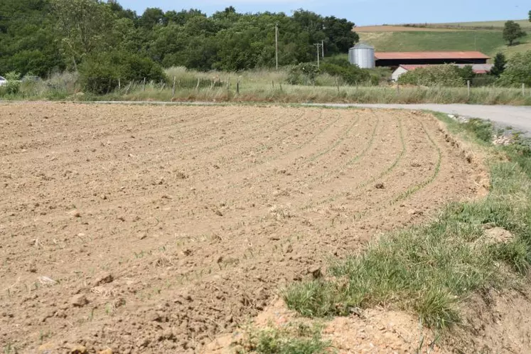 Un bail rural est valable qu’il soit écrit, notarié ou verbal dès lors qu’un immeuble rural est mis à disposition d’un exploitant à des fins d’exploitation agricole moyennant contrepartie.