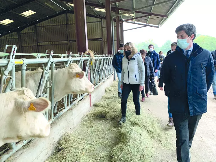 Julien Denormandie, Ministre de l'agriculture visite une exploitation en bovins viande dans le Puy-de-Dôme.