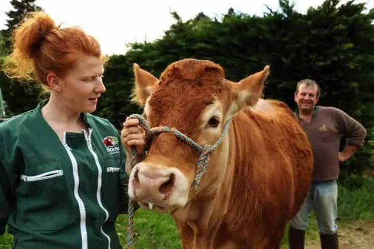 Une agricultrice et un agriculteur avec une vache limousine