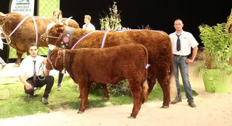 Cette année, la Haute-Loire a brillé à Cournon et notamment avec la Salers et le titre de Championne  du concours national de Jicky pour la deuxième année.