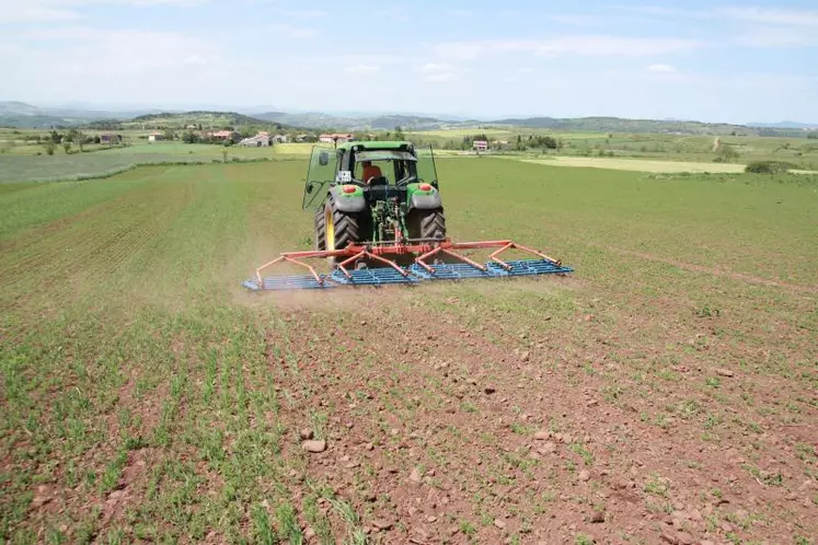 À St Martin de Fugères, sur une parcelle d’essai conduite en agriculture bio, l’ODG a testé le travail d’une herse étrille.