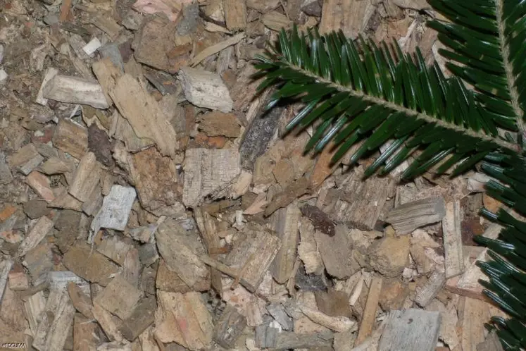 Une sous-couche de 10 cm de plaquettes bois sur laquelle on rajoute de la paille
semble être une solution intéressante.
