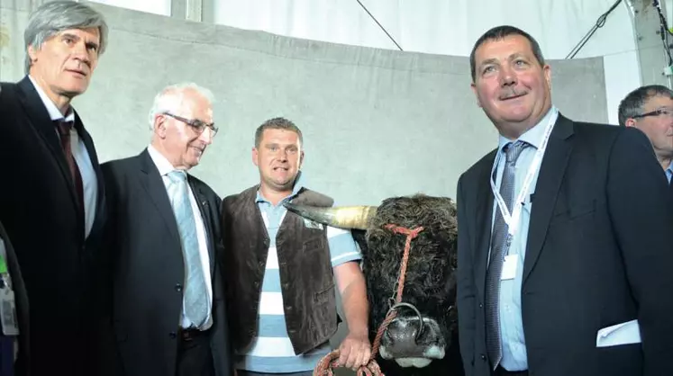 Stéphane Le Foll est allé à la rencontre des éleveurs, notamment ceux de la race aubrac, en concours national, cette année au Sommet.