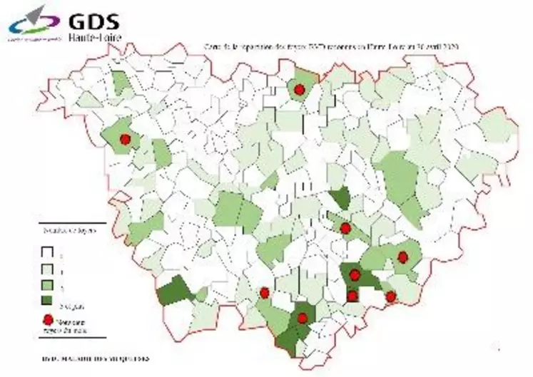 Carte de la répartition des foyers BVD reconnus en Haute-Loire au 30 avril 2020.