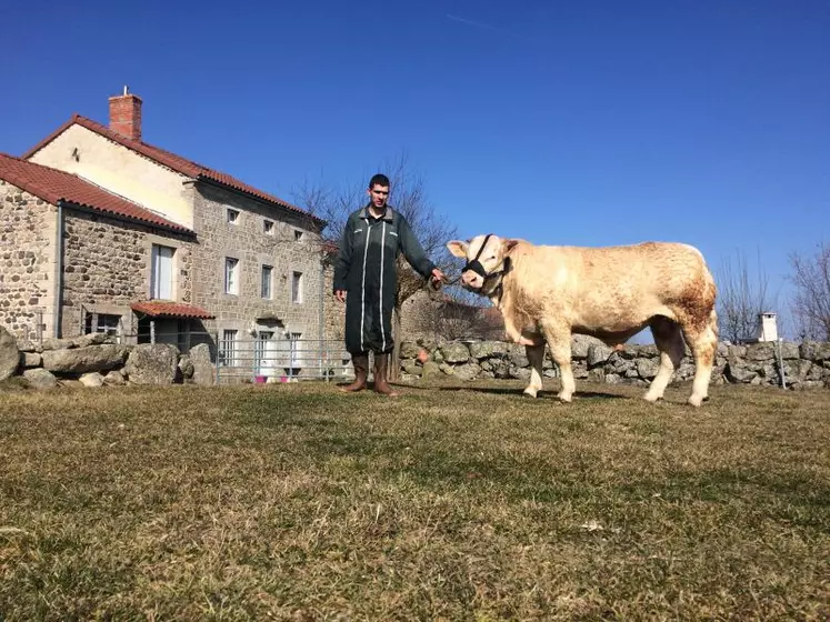 Orfèvre et son jeune éleveur Florian Chambon seront la semaine prochaine sur la grande scène de la génétique bovine européenne.