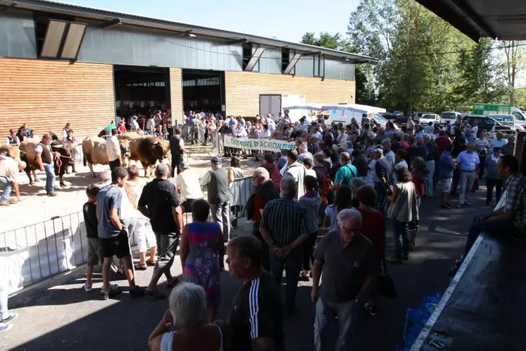 Organisées par la Chambre d’Agriculture et les syndicats de races, les 3e journées allaitantes ont, une fois de plus, attiré un public nombreux.