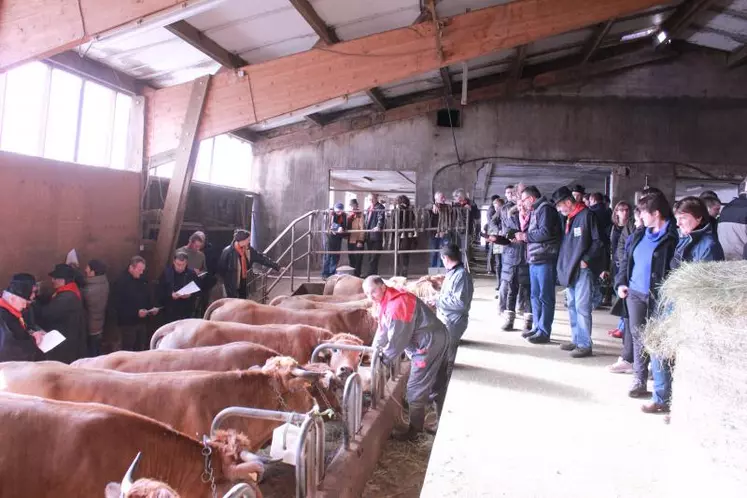 Une journée de lancement de la saison placée sous le signe de la convivialité, au sein d'une étable au milieu des Aubracs...