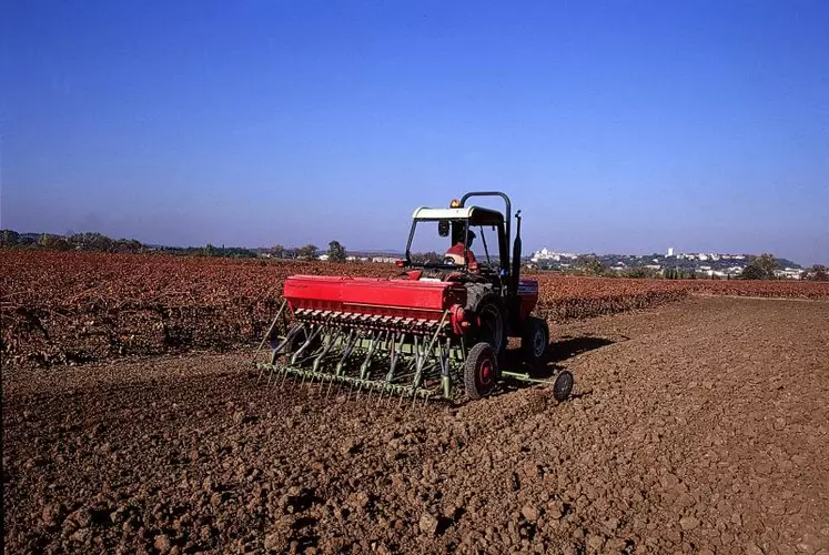 Si les conditions météorologiques s’améliorent, les agriculteurs qui n’ont pas pu semer leurs céréales
cet automne peuvent encore le faire en février.