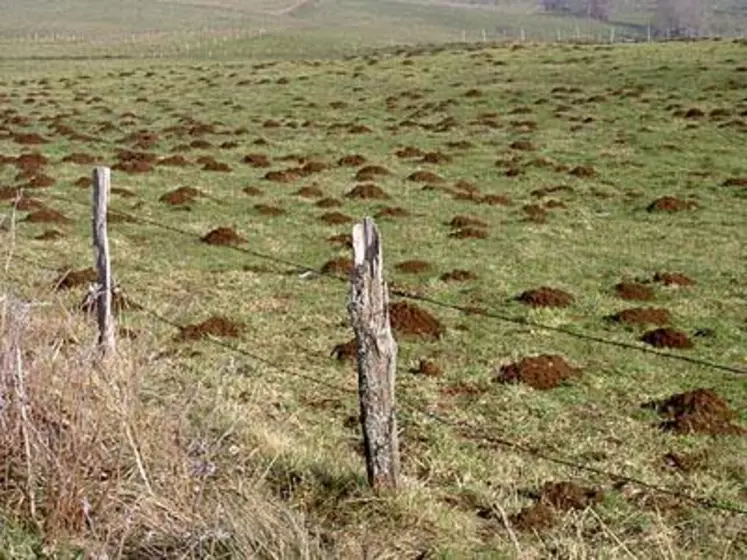 Des secteurs affectés : Yssingeaux, Vorey/Arzon, Monistrol/Loire, St-Didier en Velay.