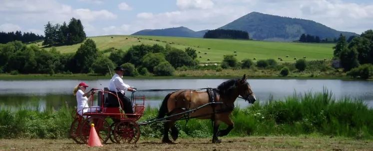 Le cheval de trait peut avoir un rôle territorial.