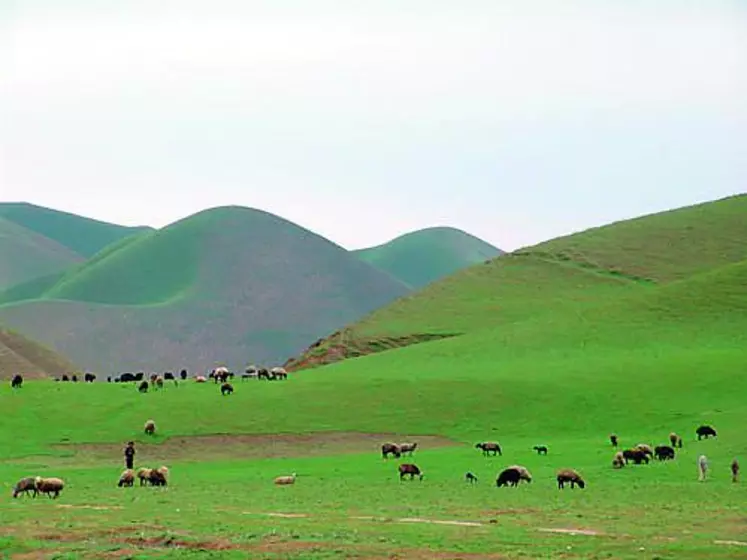 L'agriculture afghane a été mise à mal par un développement inapproprié et la guerre.