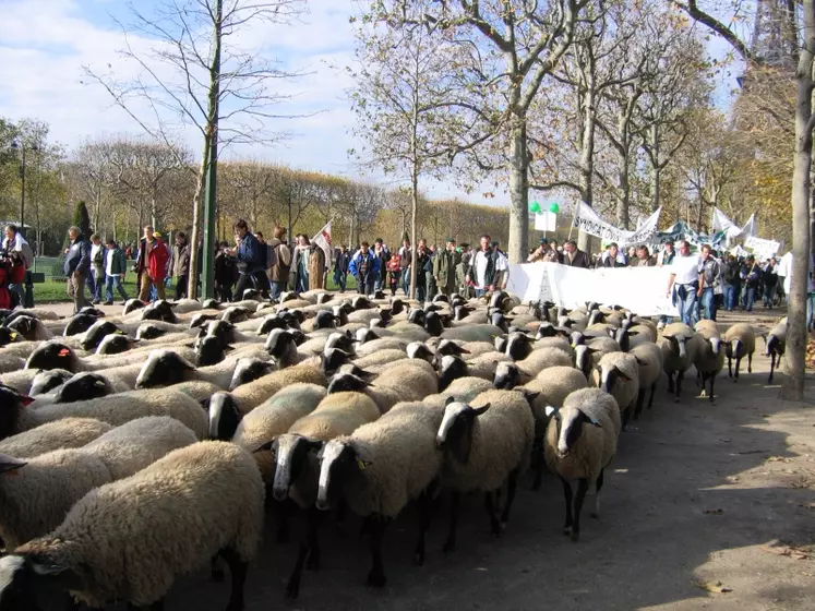 Le troupeau en tête de la manifestation.