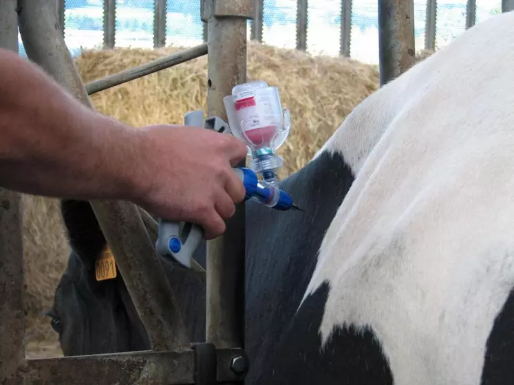 La demande de doses vaccinales de la part des éleveurs est
inférieure aux prévisions.