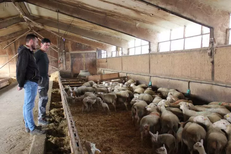 «On fait partie intégrante d’une filière, dans laquelle on a besoin les uns des autres» explique Roland Simon (ici avec Medhi Viallet de l’APIV Auvergne).