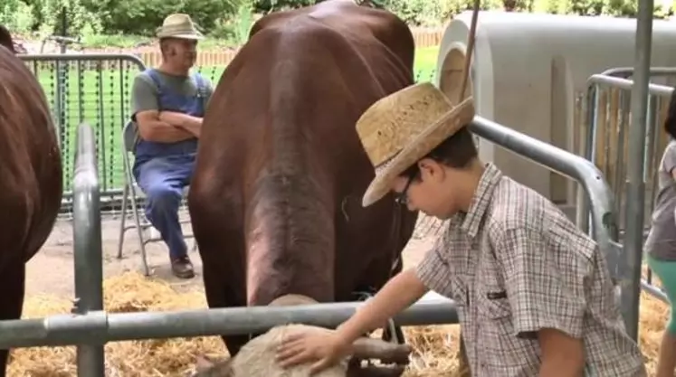 La ferme s'invite en ville, la 6e édition de l’opération sourire.