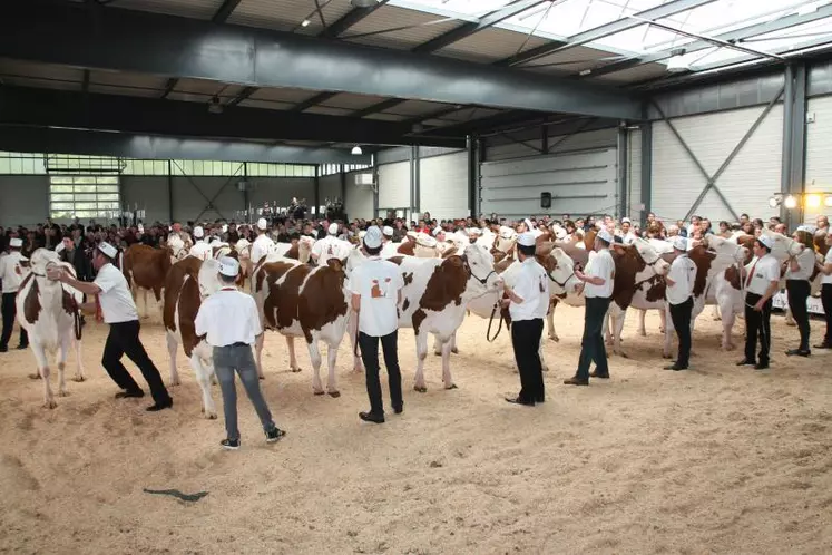 La production laitière devrait se segmenter autour de démarches de qualité.