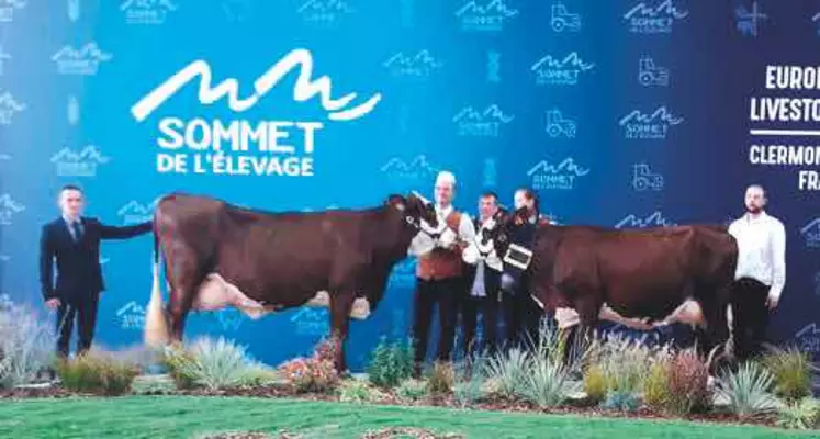 Narcisse de Richard Tholance et Nièvre du Gaec La Ferme du Barry (15), respectivement Prix de Championnat Adulte et Jeune.