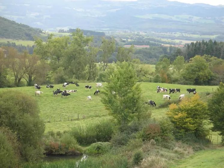 Une loi pour que l'agriculture française conserve son leadership.