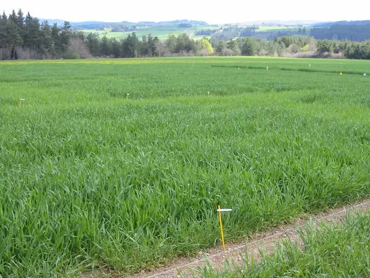 Prenez connaissance des résultats d’essais en vous connectant 
sur le site internet de la Chambre d’Agriculture.