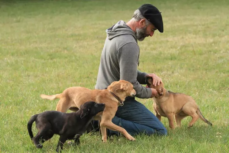 Un chien de berger qui fait partie du patrimoine et de l’histoire de la région.