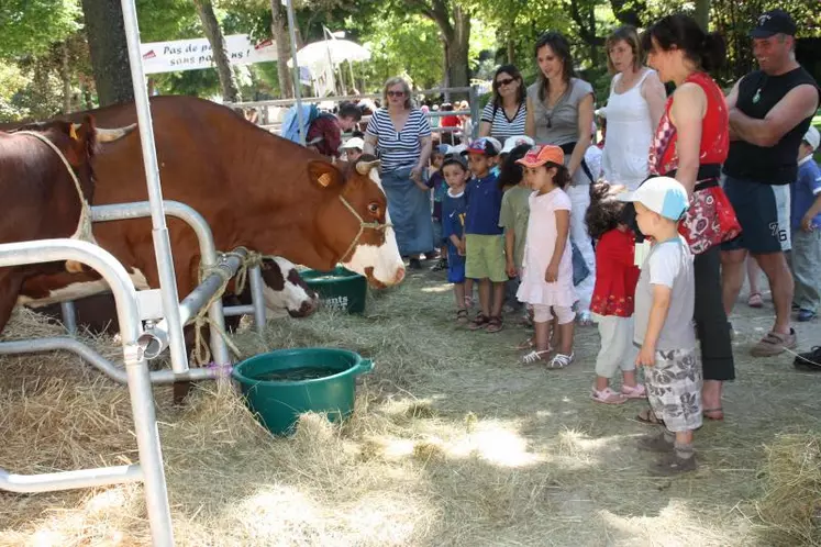 Devant les vaches, Denis Fayolle a répondu à la curiosité des enfants en fournisssant des explications simples et précises.