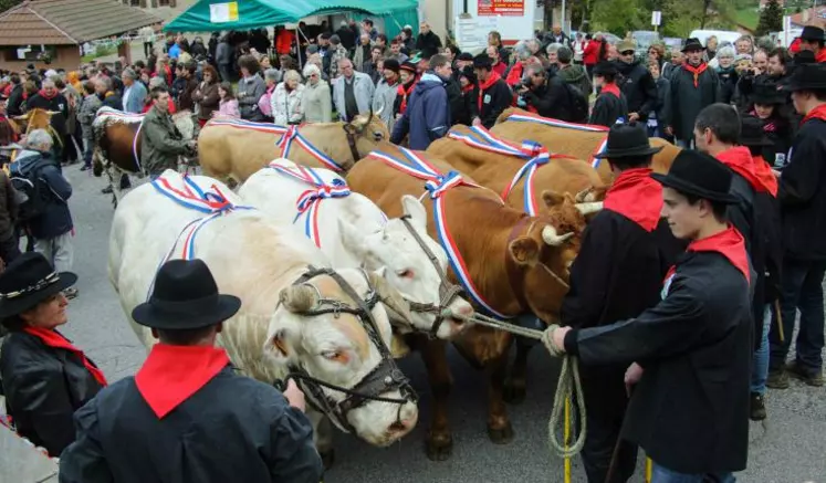 La Fête du Fin Gras du Mézenc 2016 est organisée à Fay sur Lignon ; rendez-vous le 5 juin.