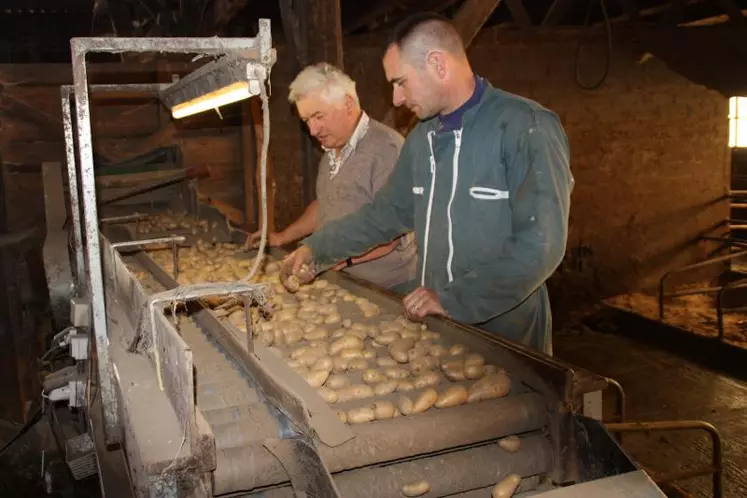 Christophe et Eugène Aubert au travail sur la trieuse-calibreuse. Cette année, l’humidité et le manque de chaleur ont induit une baisse de rendement évalué à -50% sur l’EARL.